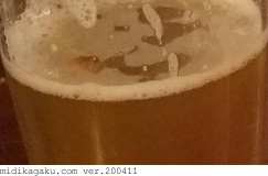 オオムギ-料理-ビール