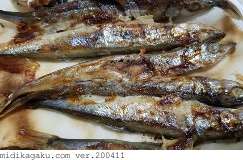 カラフトシシャモ-料理-焼き魚
