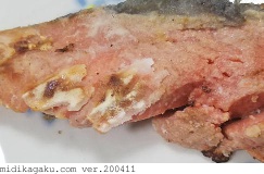 ベニザケ-料理-焼き魚