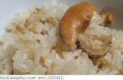 ホタテガイ-料理-ホタテご飯-2