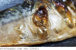マサバ-料理-焼き魚