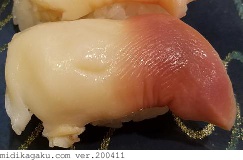 アメリカウバガイ-料理-寿司