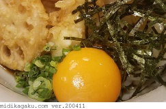 コムギ-料理-天ぷらうどん
